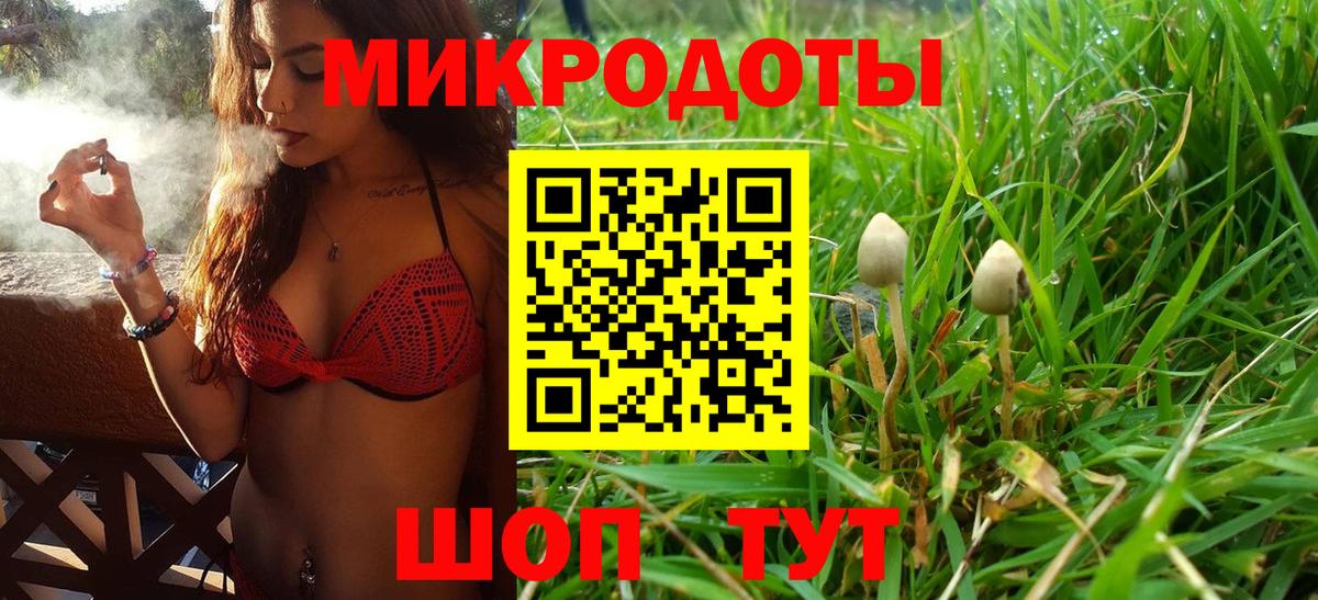 Галлюциногенные грибы прущие грибы Котлас
