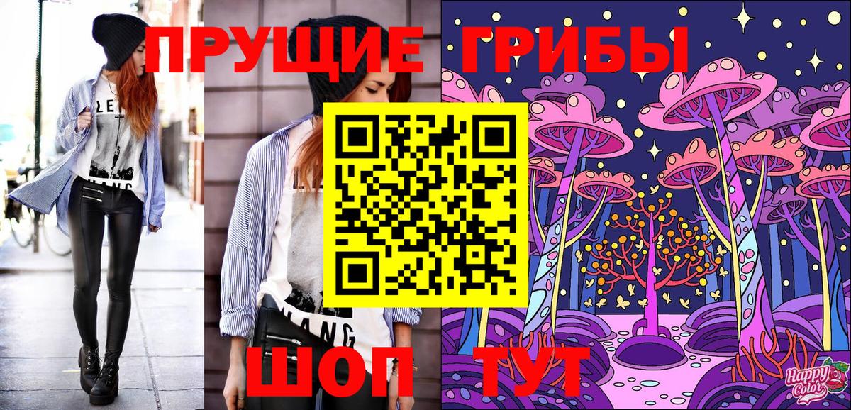 Псилоцибиновые грибы мицелий  Вход с VPN  Котлас 